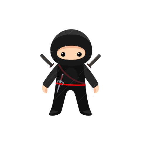 ninja image